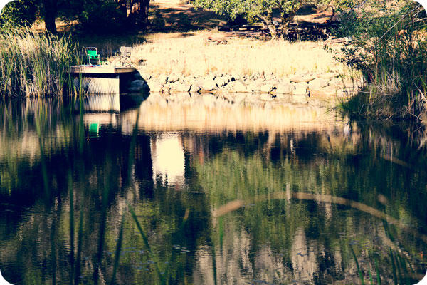 ScenicPond