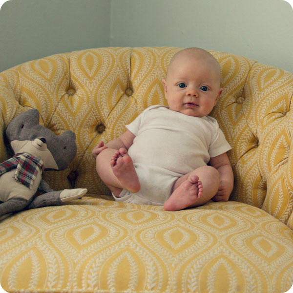 Monthly Baby Photo