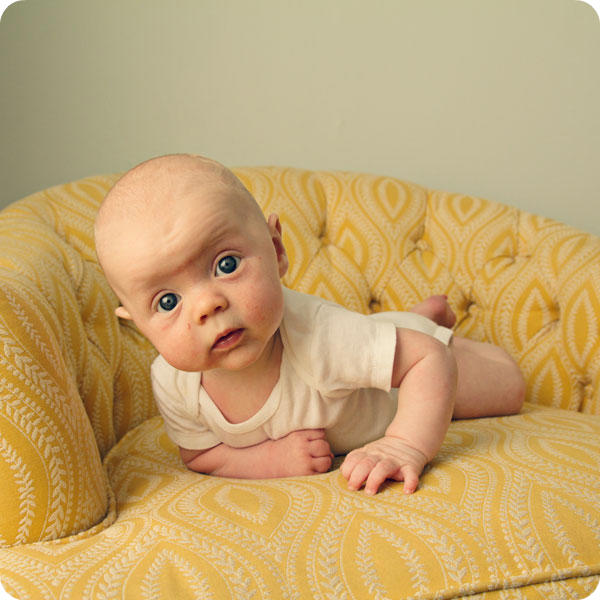 Monthly Baby Photo 