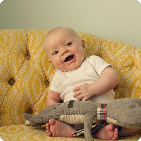 Monthly Baby Photo 