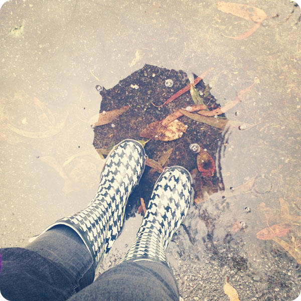 A-Walk-in-the-Rain