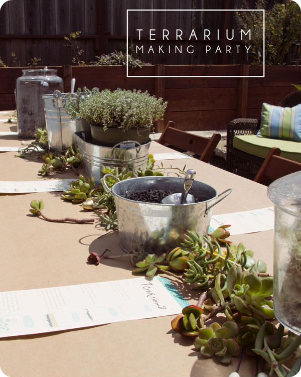 Party Ideas - Terrarium-Making-Party